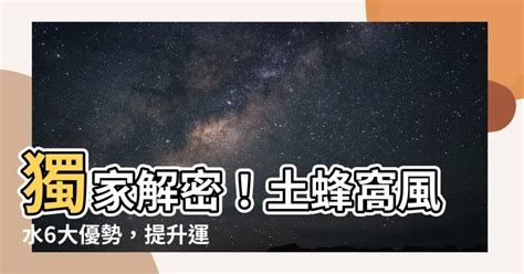 黑蜂巢風水|家裡有蜂窩風水不可不看攻略! 獨家資料! (2024年更新)